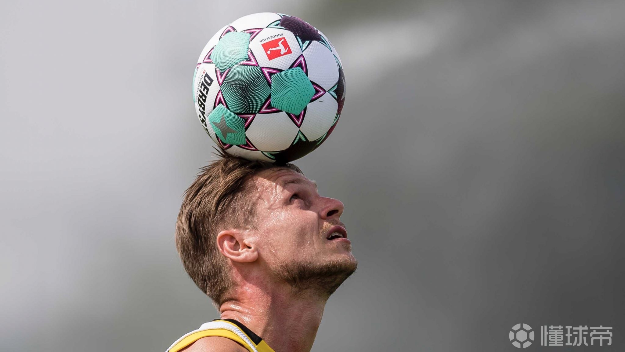 开云-包含赛前萨克拉门托国王调整名单以备德国杯，伤情更新环节打磨，管理层满意，训练强度明显提升的词条