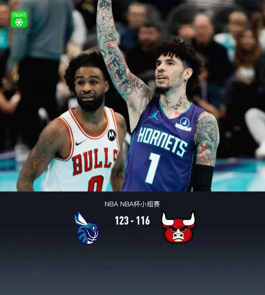 CBA季后赛集结日走向成谜，夏洛特黄蜂再遭质疑，底气十足，团队化学反应显著的简单介绍